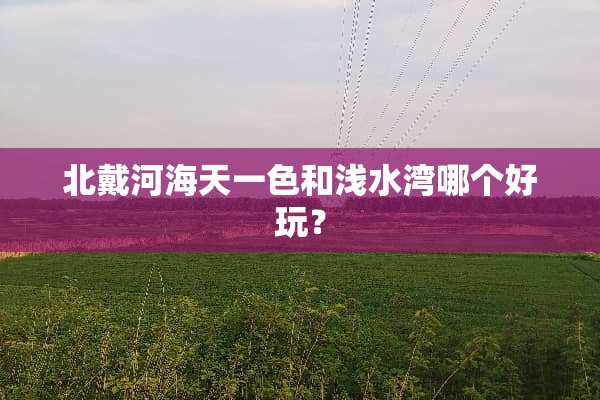 北戴河海天一色和浅水湾哪个好玩？