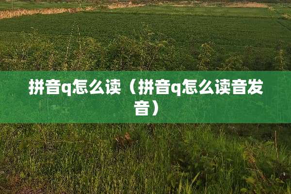 拼音q怎么读（拼音q怎么读音发音）