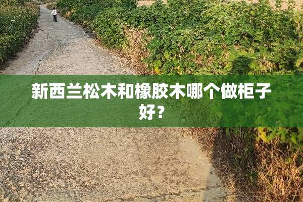 新西兰松木和橡胶木哪个做柜子好？