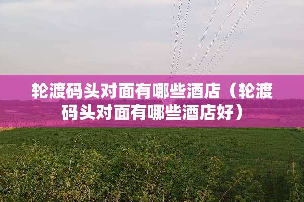 轮渡码头对面有哪些酒店（轮渡码头对面有哪些酒店好）