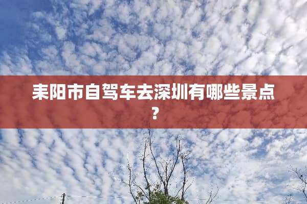 耒阳市自驾车去深圳有哪些景点？