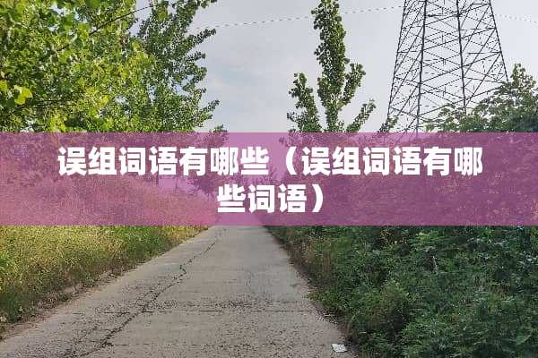 误组词语有哪些（误组词语有哪些词语）