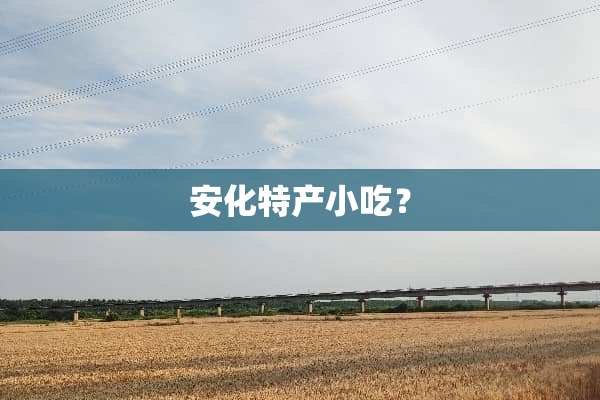 安化特产小吃？
