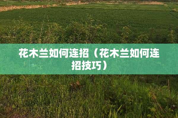 花木兰如何连招（花木兰如何连招技巧）