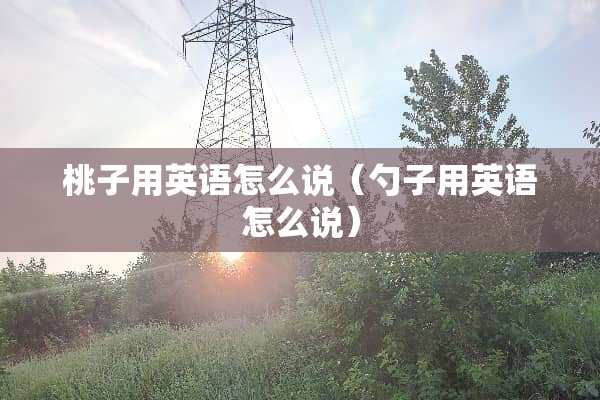 桃子用英语怎么说（勺子用英语怎么说）