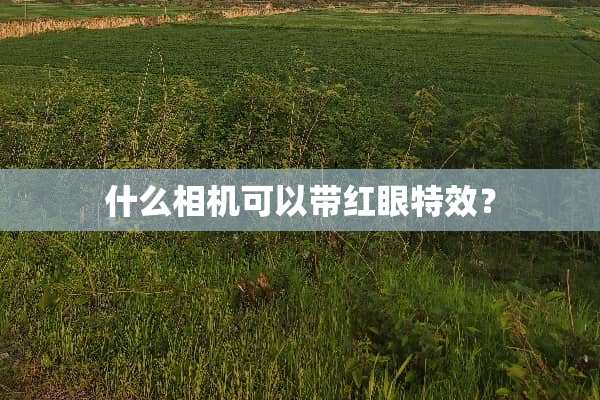 什么相机可以带红眼特效？
