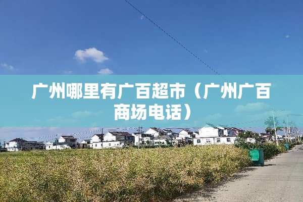 广州哪里有广百超市（广州广百商场电话）