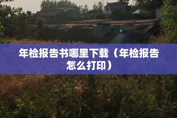 年检报告书哪里下载（年检报告怎么打印）