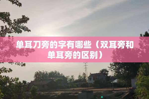 单耳刀旁的字有哪些（双耳旁和单耳旁的区别）