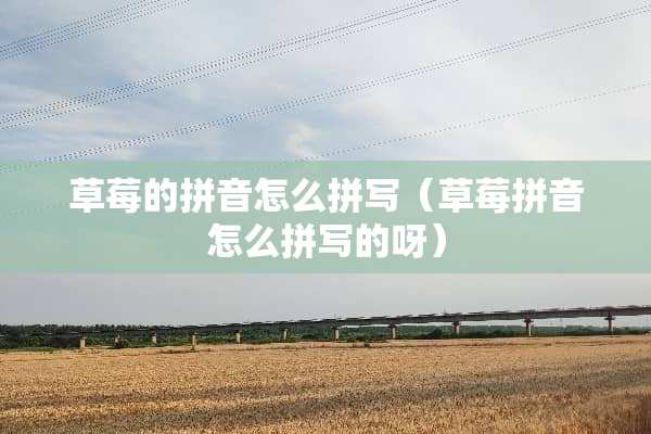 草莓的拼音怎么拼写（草莓拼音怎么拼写的呀）