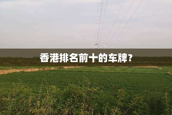 香港排名前十的车牌？