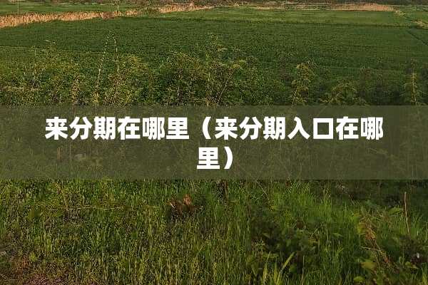 来分期在哪里（来分期入口在哪里）