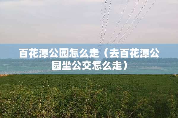 百花潭公园怎么走（去百花潭公园坐公交怎么走）