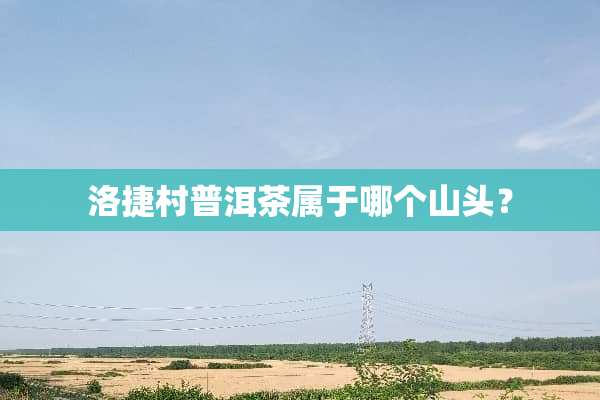 洛捷村普洱茶属于哪个山头？