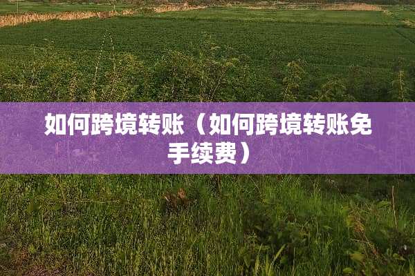 如何跨境转账（如何跨境转账免手续费）