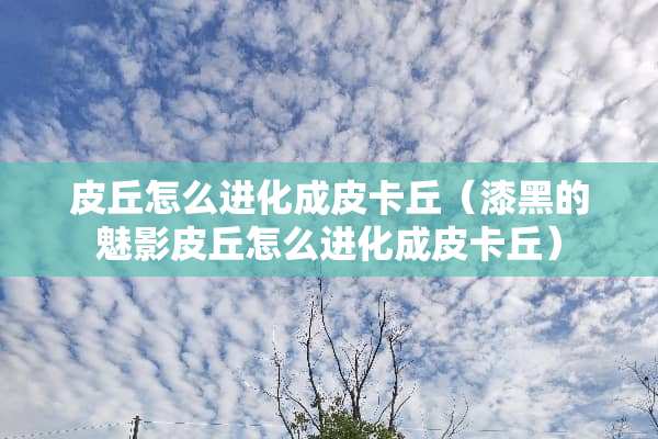 皮丘怎么进化成皮卡丘（漆黑的魅影皮丘怎么进化成皮卡丘）