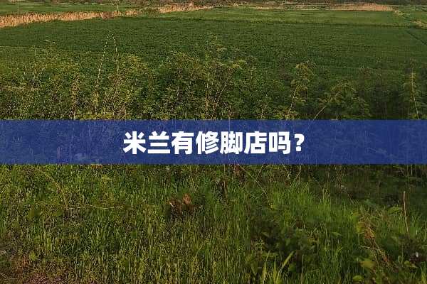 米兰有修脚店吗？