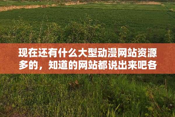 现在还有什么大型动漫网站资源多的，知道的网站都说出来吧各位？