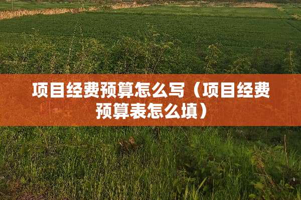 项目经费预算怎么写（项目经费预算表怎么填）