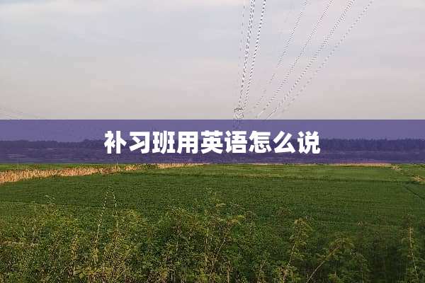 补习班用英语怎么说