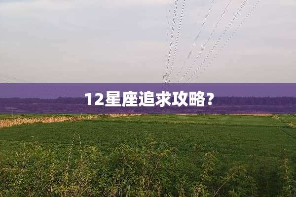 12星座追求攻略？
