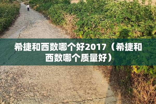 希捷和西数哪个好2017（希捷和西数哪个质量好）