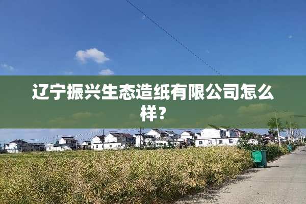 辽宁振兴生态造纸有限公司怎么样？