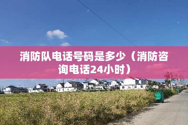 ***电话号码是多少（消防咨询电话24小时）