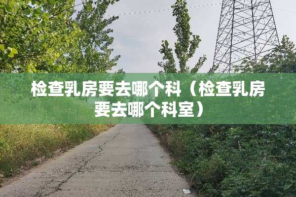 检查*房要去哪个科（检查*房要去哪个科室）