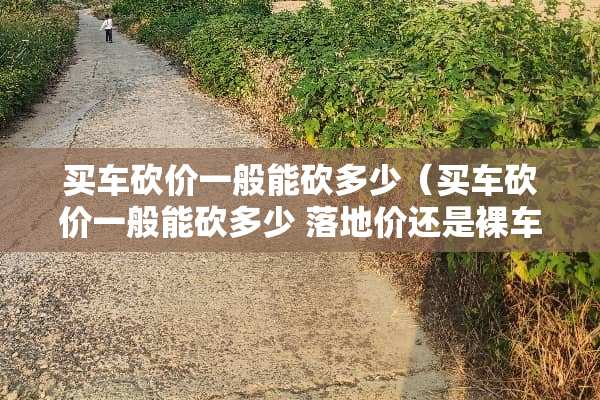 买车砍价一般能砍多少（买车砍价一般能砍多少 落地价还是*车价）