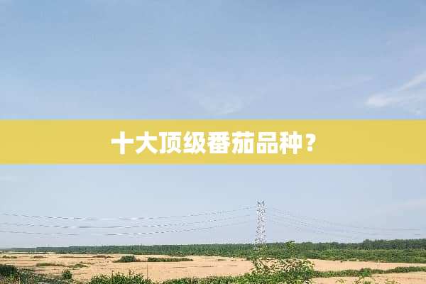 十大顶级番茄品种？