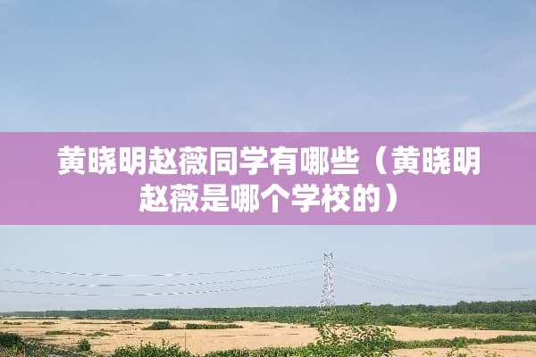 黄晓明赵薇同学有哪些（黄晓明赵薇是哪个学校的）