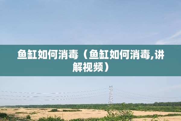 鱼缸如何消毒（鱼缸如何消毒,讲解视频）
