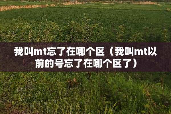 我叫mt忘了在哪个区（我叫mt以前的号忘了在哪个区了）