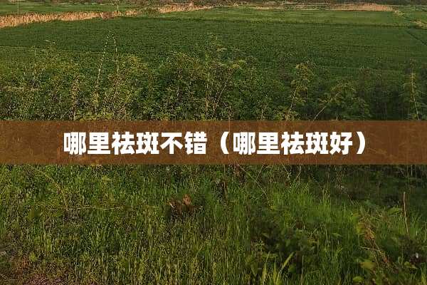 哪里祛斑不错（哪里祛斑好）