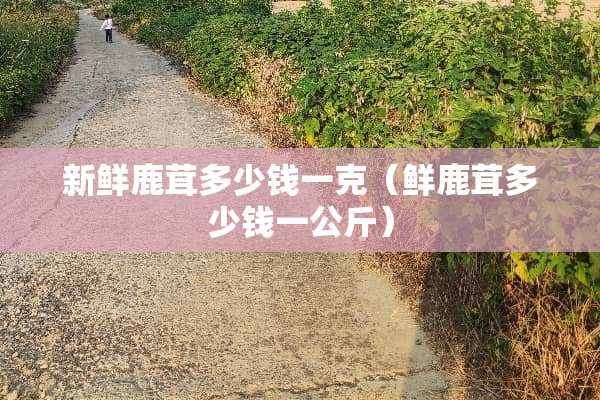 新鲜鹿茸多少钱一克（鲜鹿茸多少钱一公斤）
