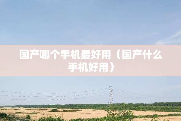 国产哪个手机最好用（国产什么手机好用）