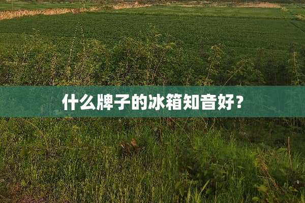 什么牌子的冰箱知音好？