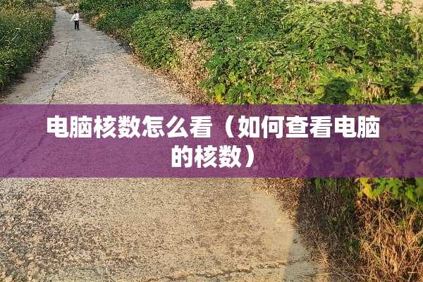 电脑核数怎么看（如何查看电脑的核数）