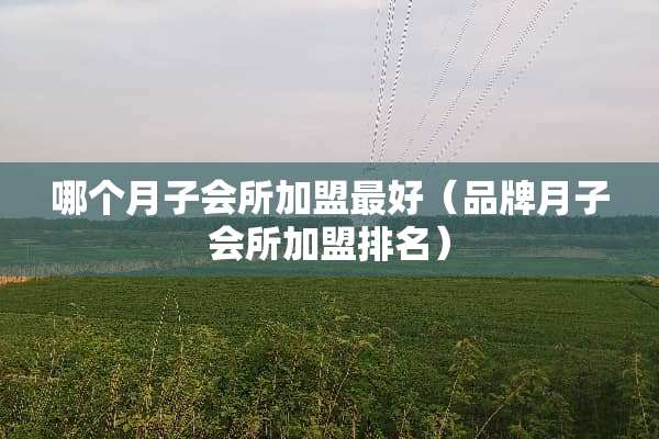 哪个月子会所加盟最好（品牌月子会所加盟排名）