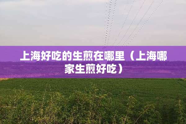 上海好吃的生煎在哪里（上海哪家生煎好吃）