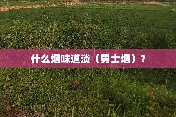什么烟味道淡（男士烟）？
