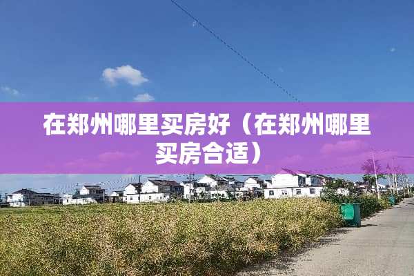 在郑州哪里买房好（在郑州哪里买房合适）