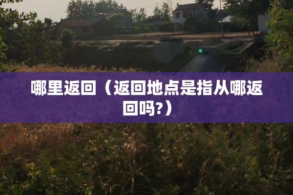 哪里返回（返回地点是指从哪返回吗?）