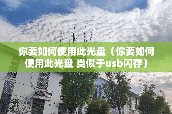 你要如何使用此光盘（你要如何使用此光盘 类似于usb闪存）