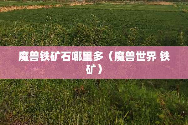 魔兽铁矿石哪里多（魔兽世界 铁矿）