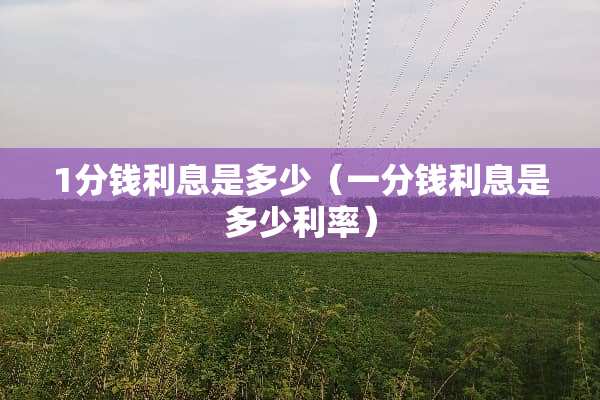 1分钱利息是多少（一分钱利息是多少利率）