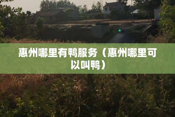 惠州哪里有鸭服务（惠州哪里可以叫鸭）