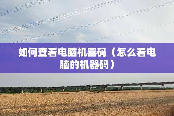 如何查看电脑机器码（怎么看电脑的机器码）