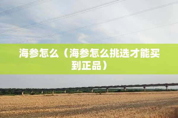 海参怎么（海参怎么挑选才能买到正品）